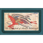 The Ledgerbook of Thomas Blue Eagle - Hardcover