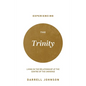 Experiencing the Trinity: Living in the Relationship at the Centre of the Universe - Paperback