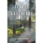 The Secret of Gällivare - Paperback