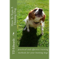 How To Train A Hunting Dog - Paperback