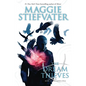 The Dream Thieves (the Raven Cycle, Book 2): Volume 2 - Paperback