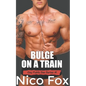 Bulge on a Train: A Gay Public Sex Story - Paperback
