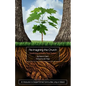 Re-Imagining the Church: Developing a Healthy Root System: An Introduction to Gospel-Formed Communities Living on Mission - Paperback