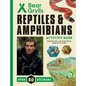 Reptiles and Amphibians - Paperback
