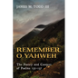 Remember, O Yahweh: The Poetry and Context of Psalms 135-137 - Paperback