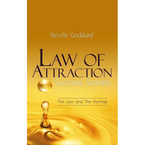 Law of Attraction Success Stories: The Law and The Promise - Paperback