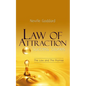 Law of Attraction Success Stories: The Law and The Promise - Paperback