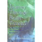 Journey Through Brain Trauma: A Mother's Story of Her Daughter's Recovery - Paperback