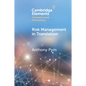 Risk Management in Translation - Paperback