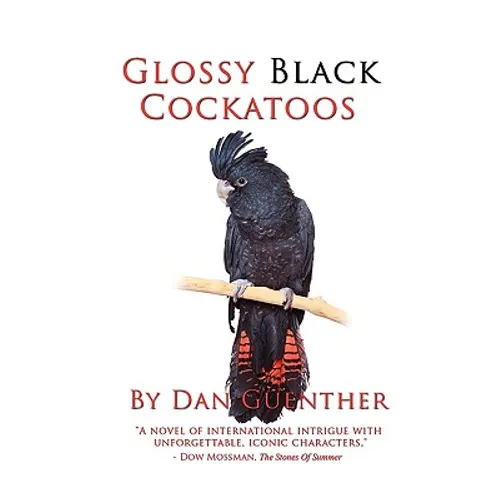 Glossy Black Cockatoos - Paperback