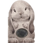 Furry Bunny - Board Book
