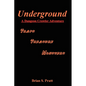 Underground: A Dungeon Crawler Adventure - Paperback