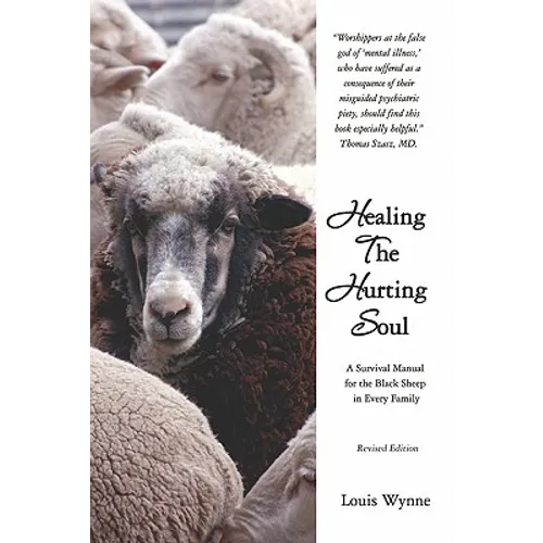 Healing the Hurting Soul: Revised Edition - Paperback