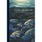 Fishes of Maine: 2nd ed rev. - Paperback