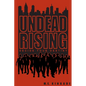 Undead Rising: Decide Your Destiny - Paperback