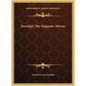 Seership! The Magnetic Mirror - Hardcover