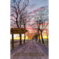Some Things I Wanted to Say - Paperback