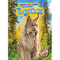 Lynx - Library Binding