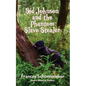 Sid Johnson and the Phantom Slave Stealer - Paperback