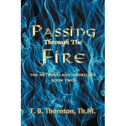Passing Through The Fire - Paperback