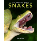 Snakes: Amazing Pictures & Fun Facts on Animals in Nature - Paperback
