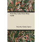 Feast-Day Cakes From Many Lands - Paperback