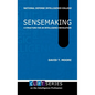Sensemaking: A Structure for an Intelligence Revolution - Hardcover