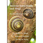 Samoan Land Snails and Slugs - An Identification Guide - Paperback