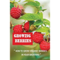 Growing Berries: How To Grow Organic Berries In Your Backyard: How To Start Growing Berries - Paperback