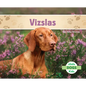 Vizslas - Library Binding