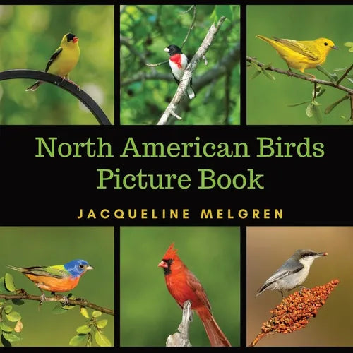 North American Birds Picture Book: Dementia Activities for Seniors (30 Premium Pictures on 70lb Paper With Names) - Paperback