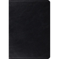 Study Bible-ESV - Leather