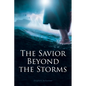 The Savior Beyond the Storms - Paperback