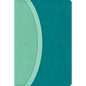 CSB Rainbow Study Bible, Teal Leathertouch (Limited Edition) - Imitation Leather