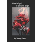 Love: What is Love? Is Love Skin Deep? - Paperback