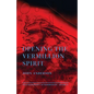 Opening the Vermillion Spirit - Paperback