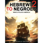 Hebrews to Negroes 2: WAKE UP BLACK AMERICA! Volume 1 - Hardcover