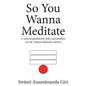 So You Wanna Meditate: A concise guidebook with commentary on the Vijnana Bhairava Tantra - Paperback