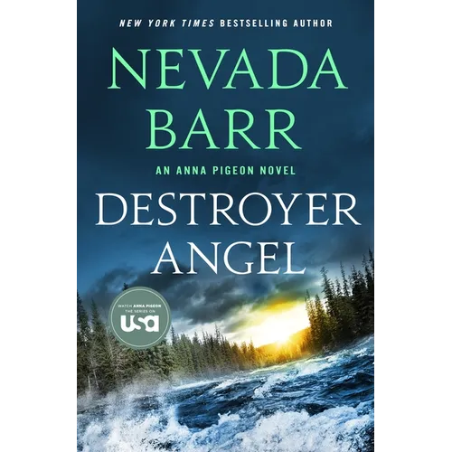 Destroyer Angel - Paperback