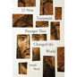 12 New Testament Passages That Changed the World - Paperback