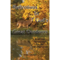 Reflections In God's Great Outdoors - Paperback