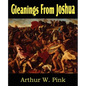 Gleanings from Joshua - Paperback