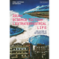 Islam, Science Fiction and Extraterrestrial Life: The Culture of Astrobiology in the Muslim World - Paperback