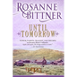 Until Tomorrow - Paperback