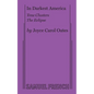 In Darkest America - Paperback
