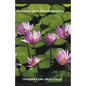 A Glance at Indian Economy - Paperback