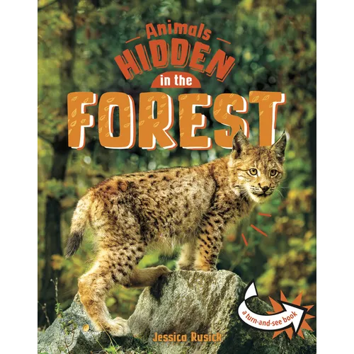 Animals Hidden in the Forest - Hardcover
