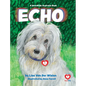 Echo - Hardcover