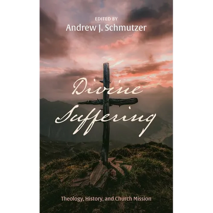 Divine Suffering: Theology, History, and Church Mission - Paperback
