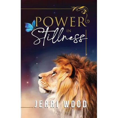 Power in Stillness - Paperback
